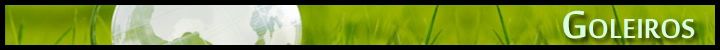 tag_goleiros.jpg
