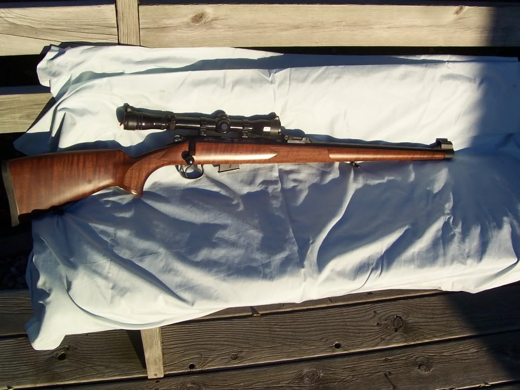 newgunpics019.jpg
