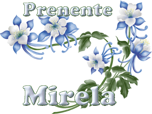 0FLORPRESENTEMIRELA.gif picture by JASISINTI