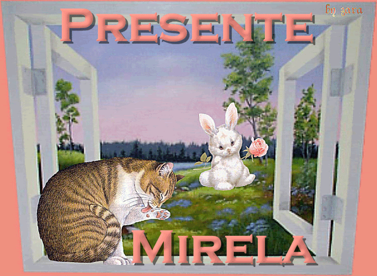 0GATOPRESENTEMIRELA.gif picture by JASISINTI