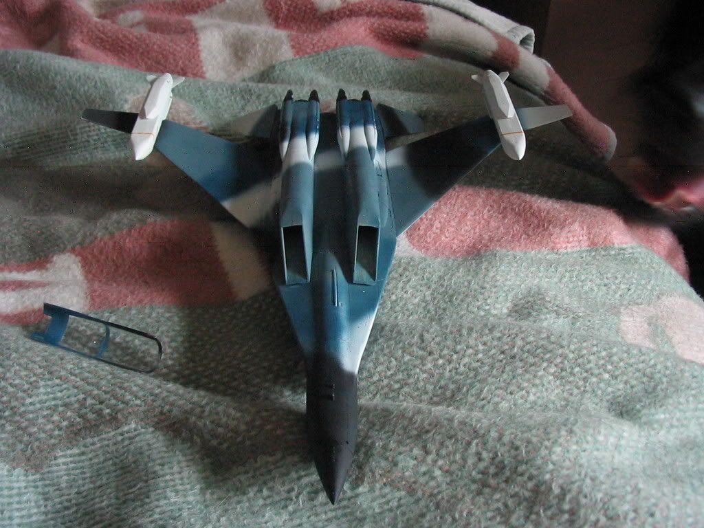 MiG-355039.jpg