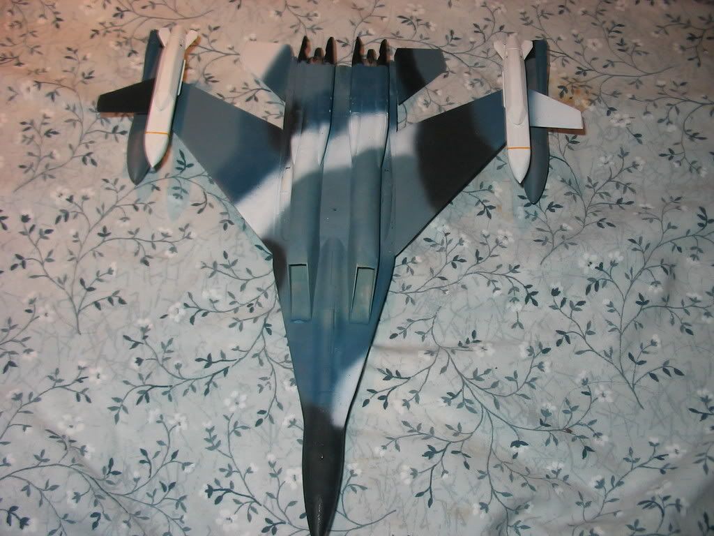 MiG-355044.jpg