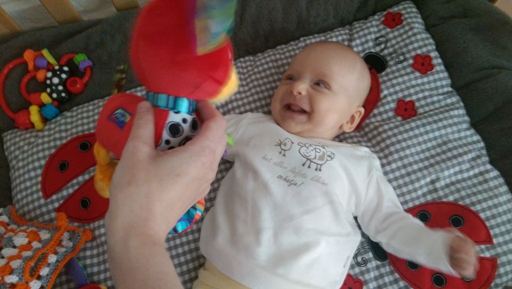 IMAG1108_zpslerqz8wj.jpg