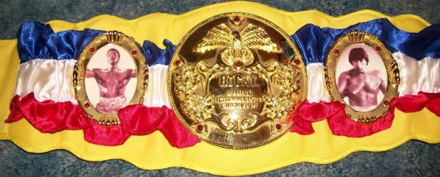 rocky championship belt jakks pacific