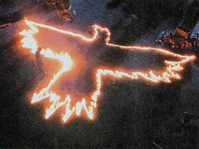 the crow gif photo: Crow crow3a.jpg