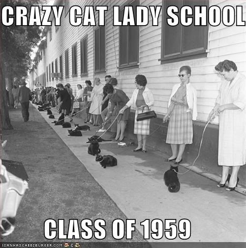 catladyschool.jpg