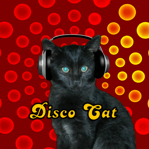 Cat Disco