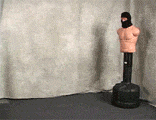 Gifs Gifs