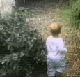 Gifs Gifs