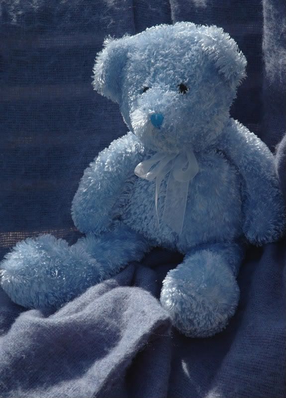Blue Teddy Pictures, Images and Photos
