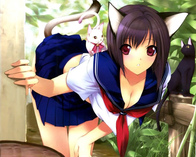 Forum Image: http://i280.photobucket.com/albums/kk200/kuro_getsuga/hot%20chicks/nekogirl4.jpg