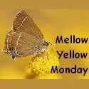 MellowYellowMondayBadge