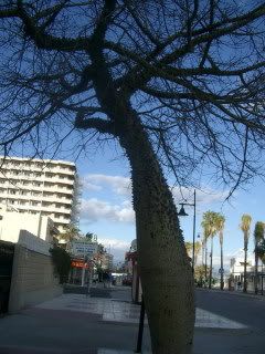 Malagatree