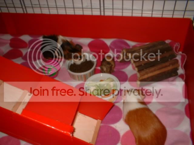 DSCF0017.jpg