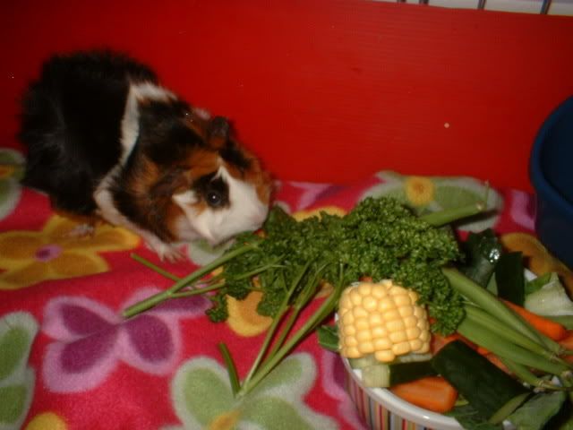 Picture003.jpg