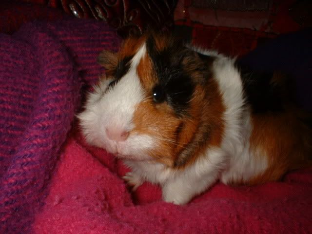 Picture007.jpg