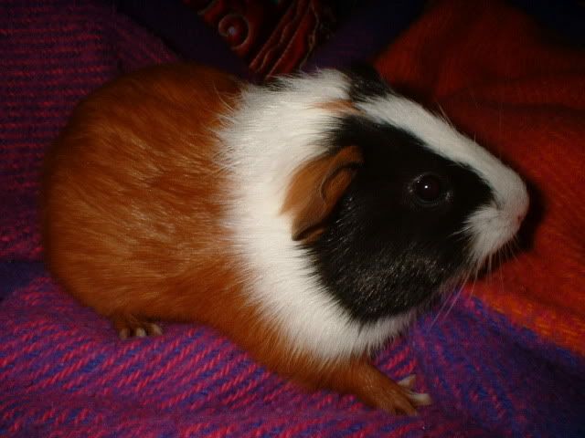 Picture015.jpg