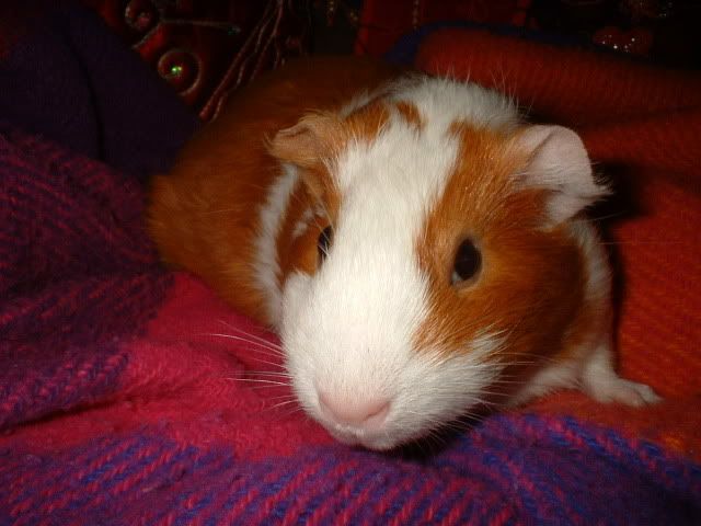 Picture016.jpg