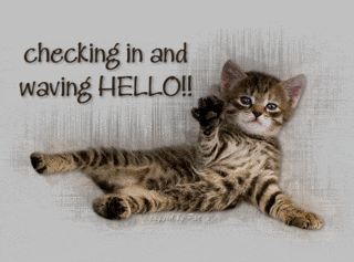 hello kitty pictures, images and photos